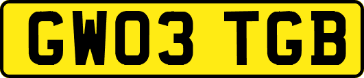 GW03TGB