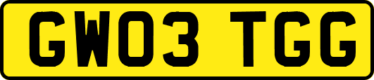 GW03TGG