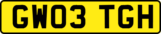 GW03TGH