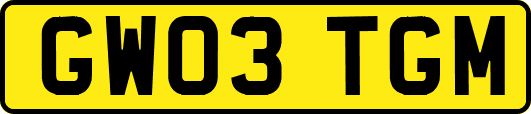 GW03TGM