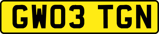 GW03TGN