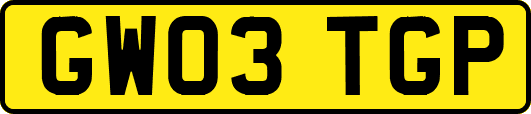 GW03TGP