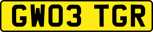 GW03TGR