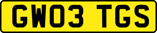 GW03TGS