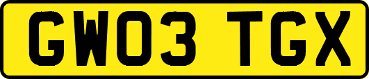 GW03TGX