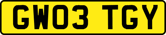 GW03TGY