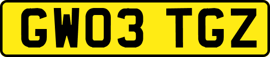 GW03TGZ