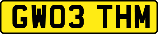 GW03THM