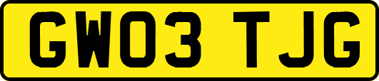 GW03TJG
