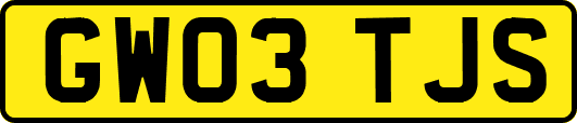 GW03TJS