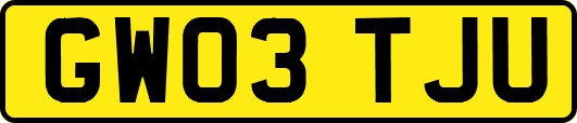 GW03TJU
