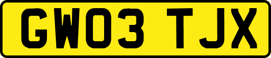 GW03TJX