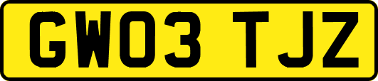 GW03TJZ