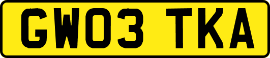 GW03TKA