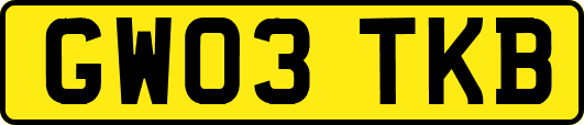 GW03TKB