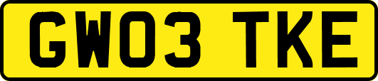 GW03TKE