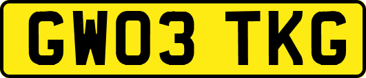 GW03TKG