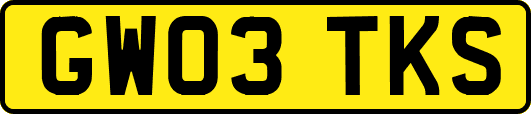 GW03TKS