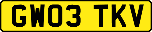 GW03TKV