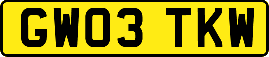 GW03TKW