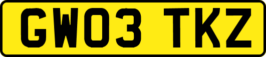 GW03TKZ