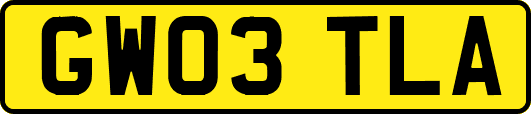 GW03TLA
