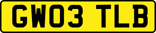 GW03TLB