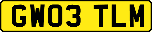 GW03TLM