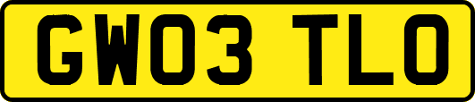 GW03TLO