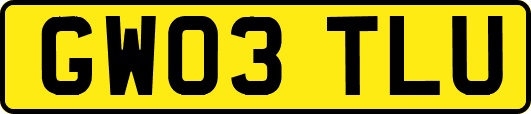GW03TLU