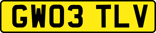 GW03TLV