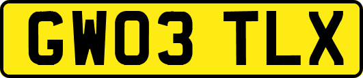 GW03TLX