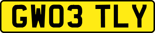 GW03TLY