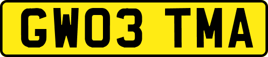 GW03TMA