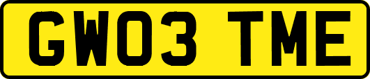 GW03TME