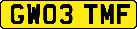 GW03TMF