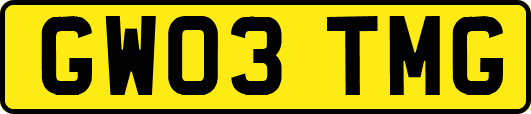 GW03TMG