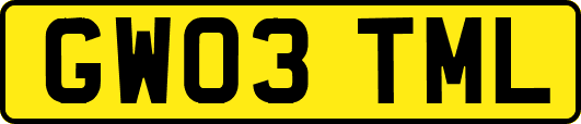 GW03TML