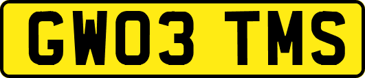 GW03TMS