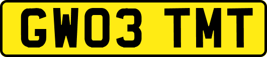 GW03TMT