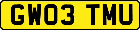 GW03TMU