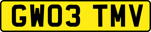 GW03TMV