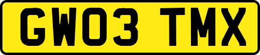GW03TMX