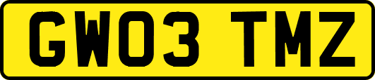 GW03TMZ