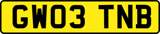 GW03TNB
