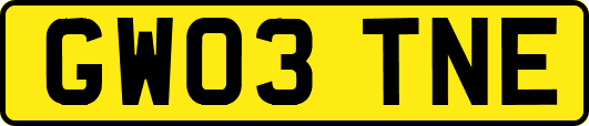 GW03TNE
