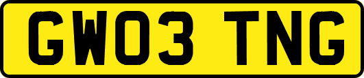 GW03TNG