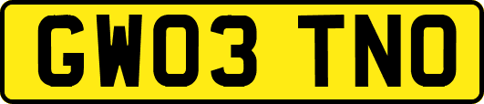 GW03TNO