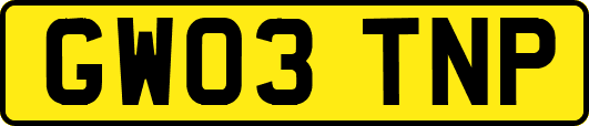 GW03TNP