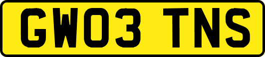 GW03TNS